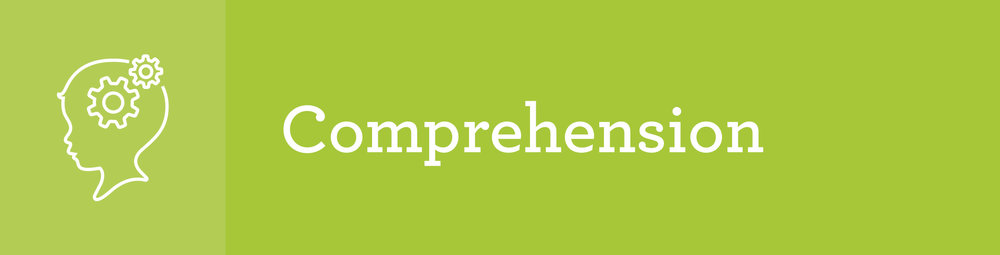 Comprehension Quiz VCQ1